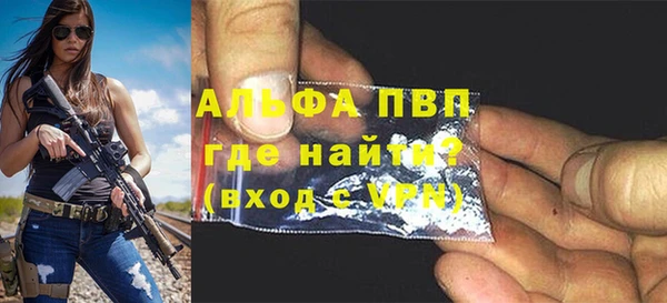 прущие грибы Кадников