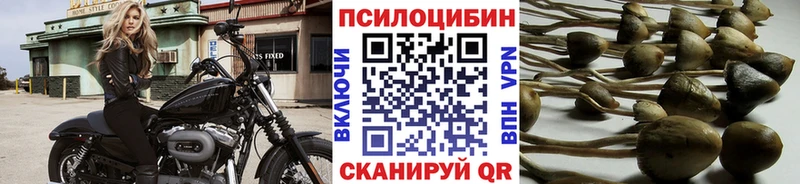 Галлюциногенные грибы мицелий  цены наркотик  Коммунар 