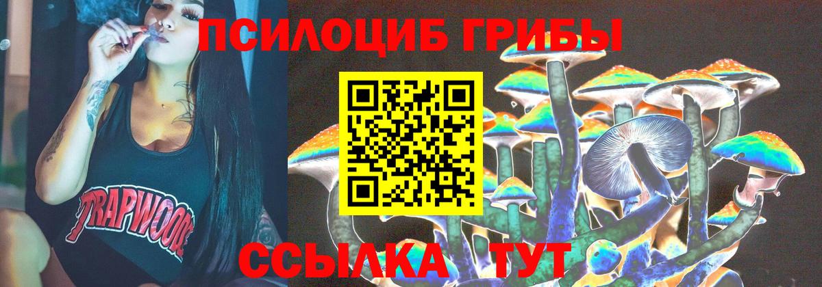 что такое   Вход с VPN  Коммунар  Псилоцибиновые грибы GOLDEN TEACHER 